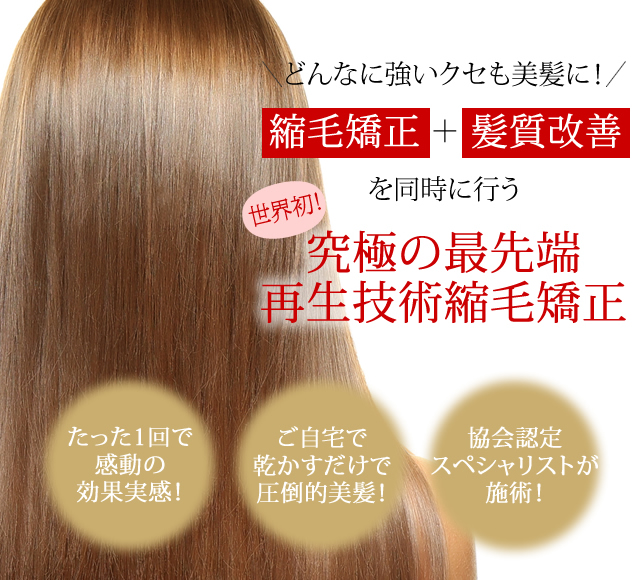 ベルウッド 公式
